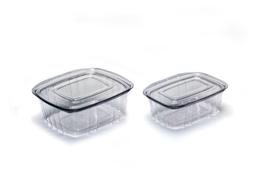 embalgem PET retangular (2)