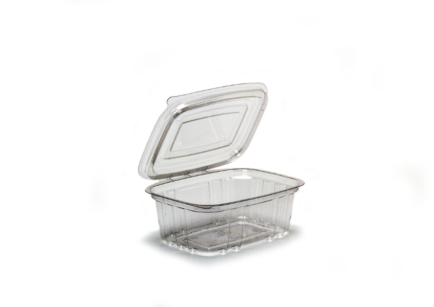 embalgem PET retangular (4)